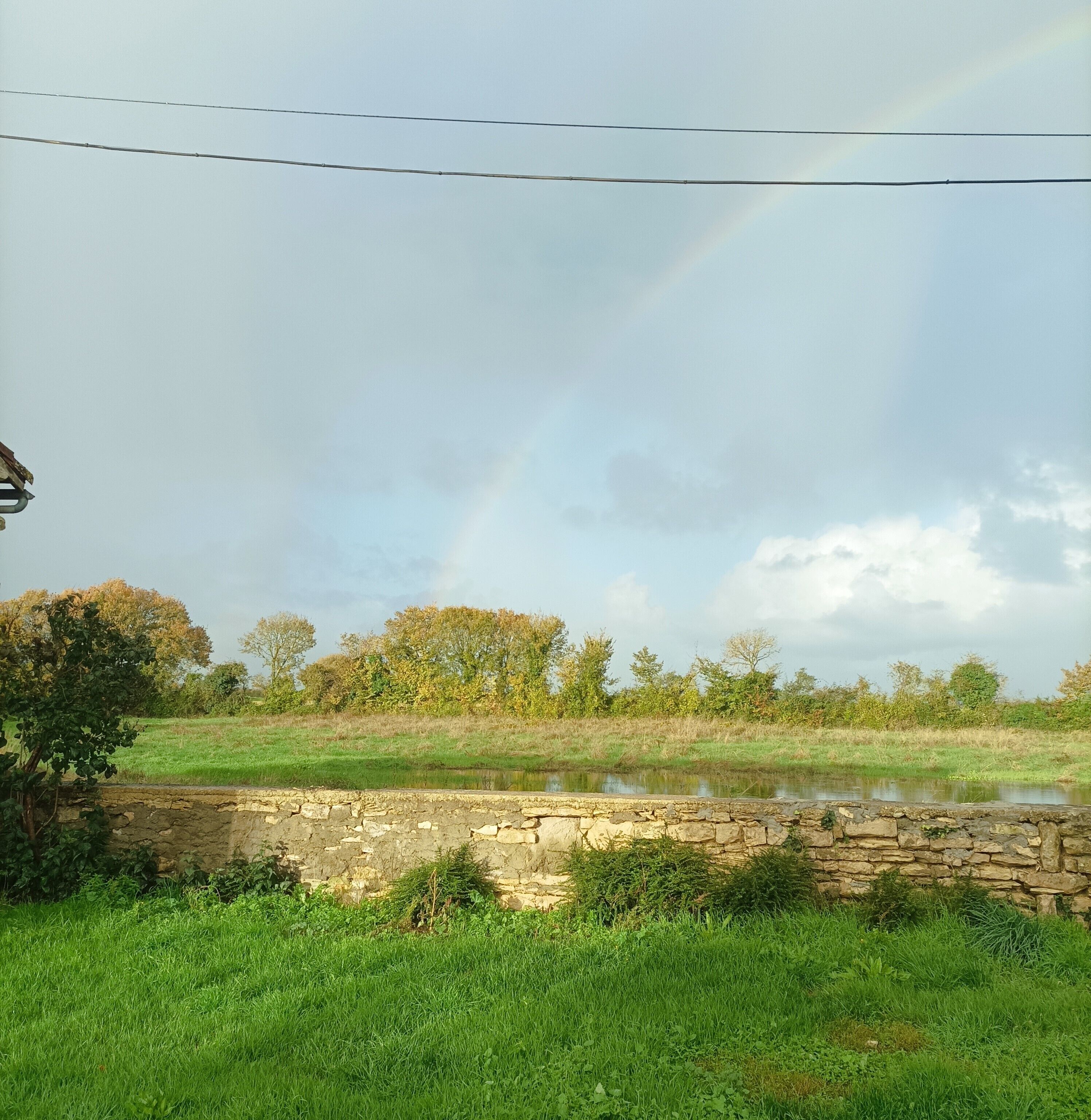 A rural landscape with a stone wall, a grassy field, and trees.