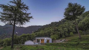 Una casa pequeña y moderna con fachada blanca y techo inclinado, rodeada de abundante vegetación y colinas al fondo.