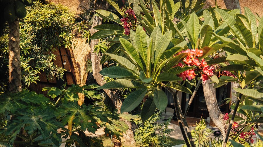Hani Hideaway