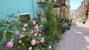 Eine enge Kopfsteinpflasterstraße, gesäumt von bunten Gebäuden, mit einer Reihe abgestellter Roller und einem Blumenkasten mit pinkfarbenen Hortensienblüten.