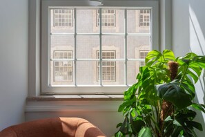 A room with a large window, a potted plant, and a brown chair.