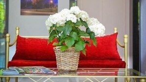 Interior - Hotel Rosenstadt (Forst)