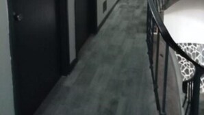 A hallway with a staircase, a door with a green light, and a patterned rug. - Hostel Funchal XII (Funchal)