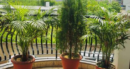 Rental flats & apartment, nearby airport Solanki residency