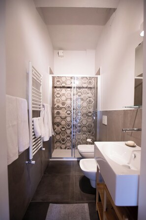 Shower, hair dryer, bidet, towels