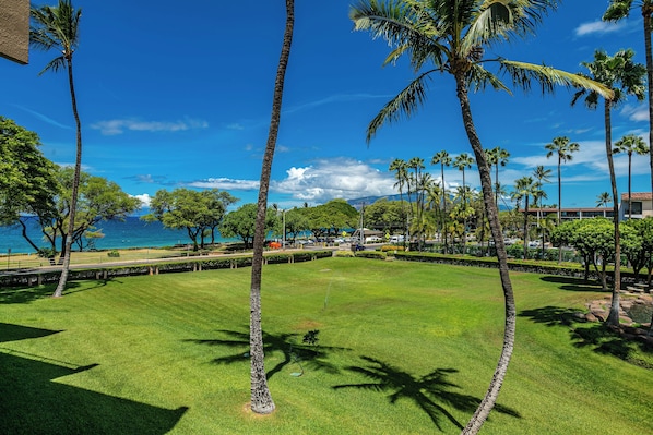 A well-maintained grassy area with palm trees and a view of the ocean.