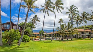 A resort with a pool area, palm trees, and a view of the ocean.