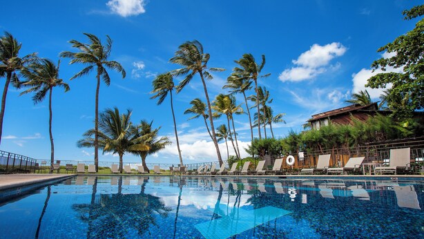 A clear blue sky with palm trees and a swimming pool with lounge chairs.