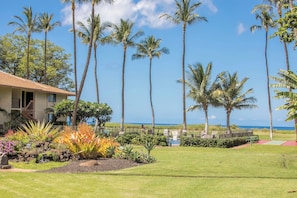Property grounds - Waiohuli Beach Hale B-108 Great Location, Ocean Front Complex, Steps to Beach (Kihei)