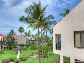 A resort with multiple buildings, palm trees, and well-maintained lawns. - Kamaole Sands #2-401 Beautifully Renovated Suite, Family Friendly, A/C! (Kihei)