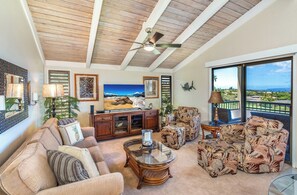 تلفزيون، مشغل دي في دي