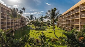Un hotel de varios pisos, un patio central con palmeras y una piscina.