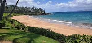A beach with a clear view of the ocean, a sandy shore, and a line of palm trees.