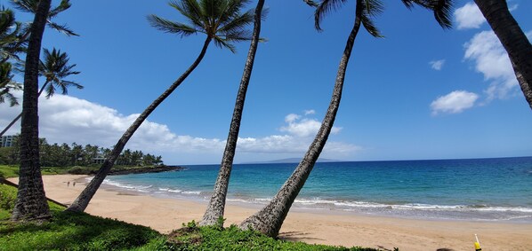 On the beach - Wailea Elua 2110 Panoramic Ocean View, Second Floor, Central Air Throughout (Wailea)