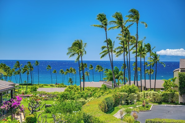 A coastal view with palm trees, a clear sky, and a building with a sloped roof.