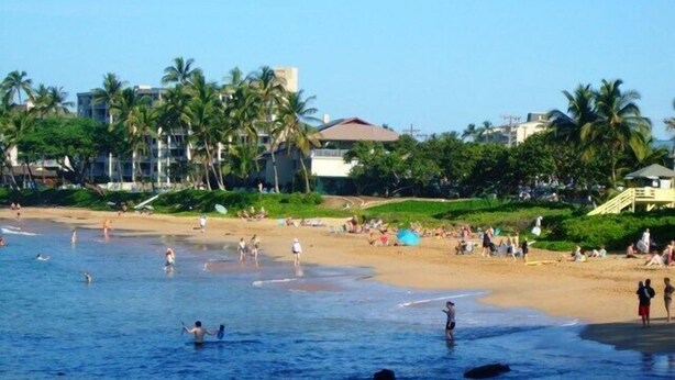 Ein Strand mit badenden und spazierenden Personen, Palmen und Gebäuden im Hintergrund.