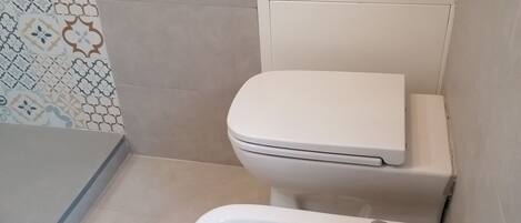 Shower, hair dryer, bidet, towels