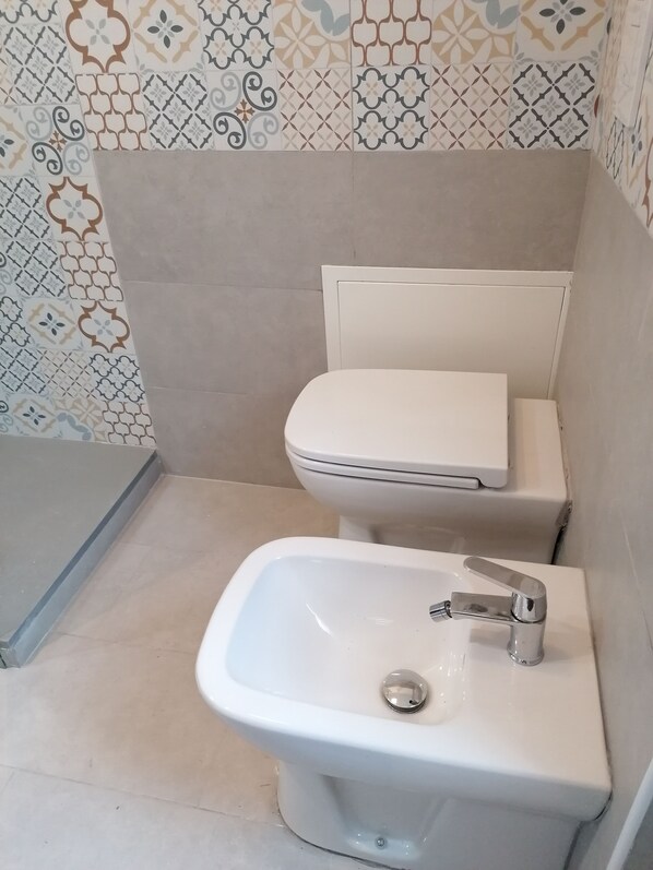 Shower, hair dryer, bidet, towels