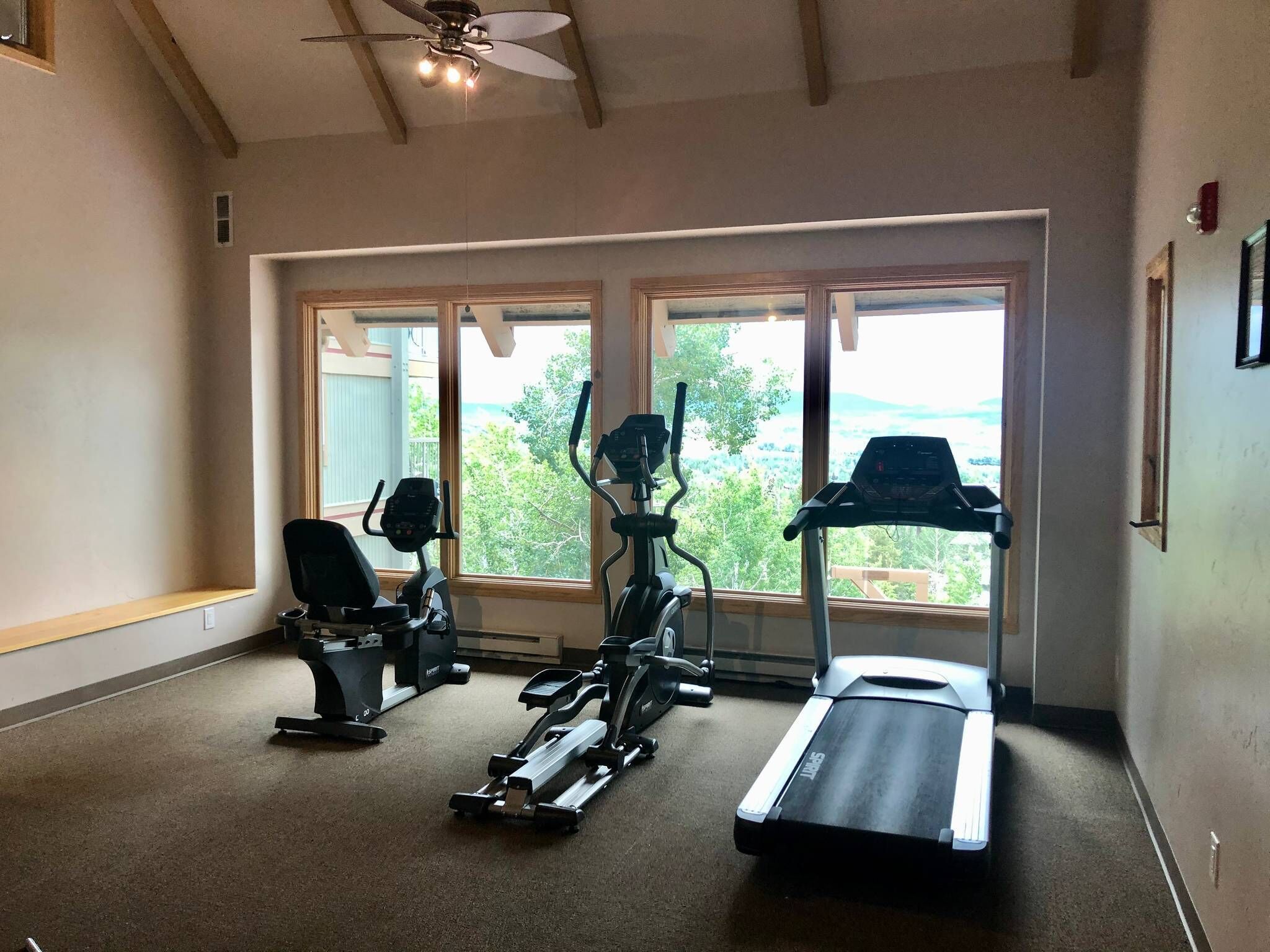 Ein Fitnessraum mit Laufband, Crosstrainer und Hantelrad, großen Fenstern mit Blick auf Bäume und Hügel sowie einem Deckenventilator.
