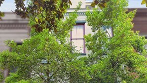 A building with a row of windows and a door, surrounded by trees.