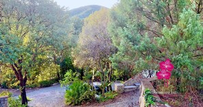 A garden with various trees and shrubs, a gravel path, and a stone wall. - Studio Apartment with Terrace Surrounded by Greenery in the Center of Teulada (TEULADA)