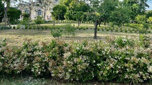 A landscaped garden with mature trees and a building in the background. - Villa De Cillis Carafa (Torre del Greco)