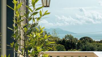 Vista dalla struttura