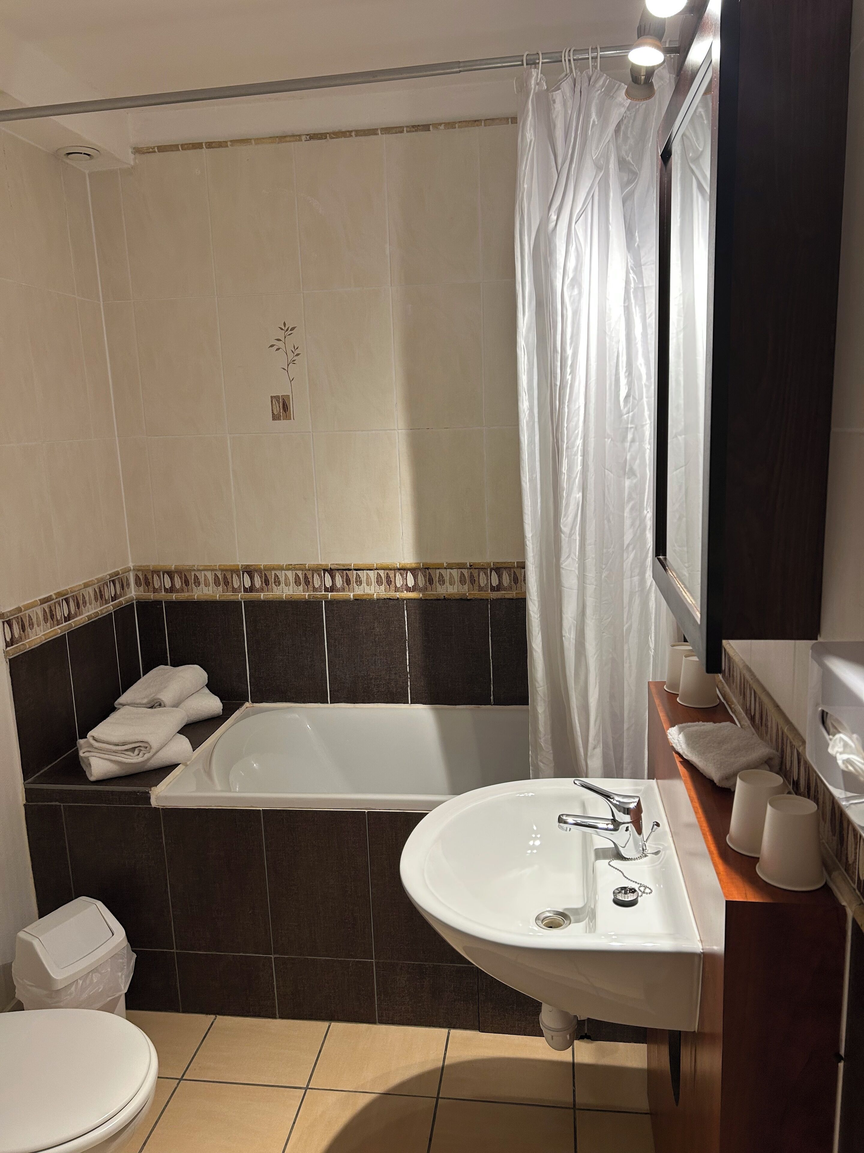 Une salle de bain avec une baignoire, un lavabo, des toilettes et un rideau de douche.
