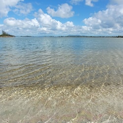 Plage, beach-volley, kayak, pêche sur place