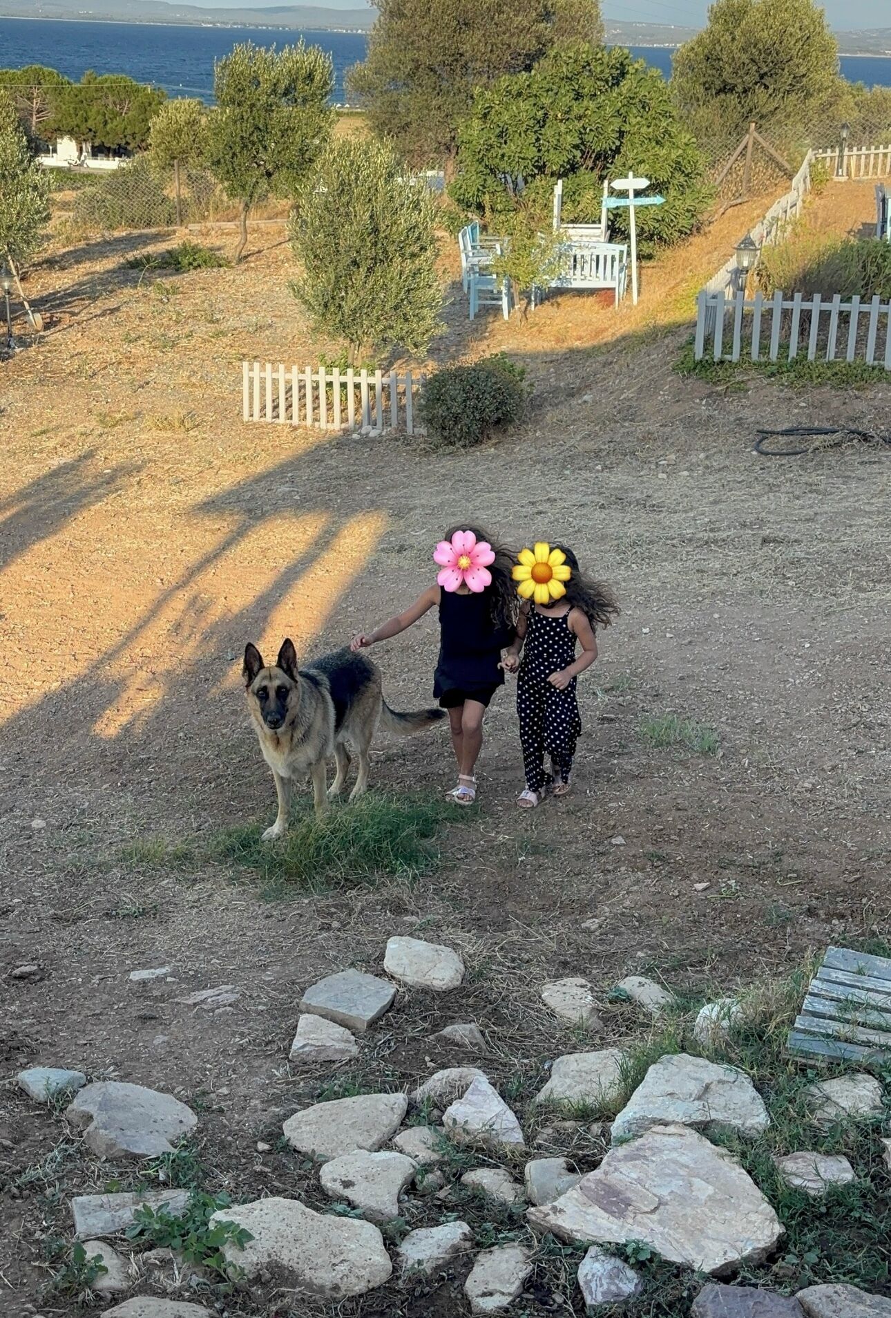 Un sendero con un perro y dos personas caminando.