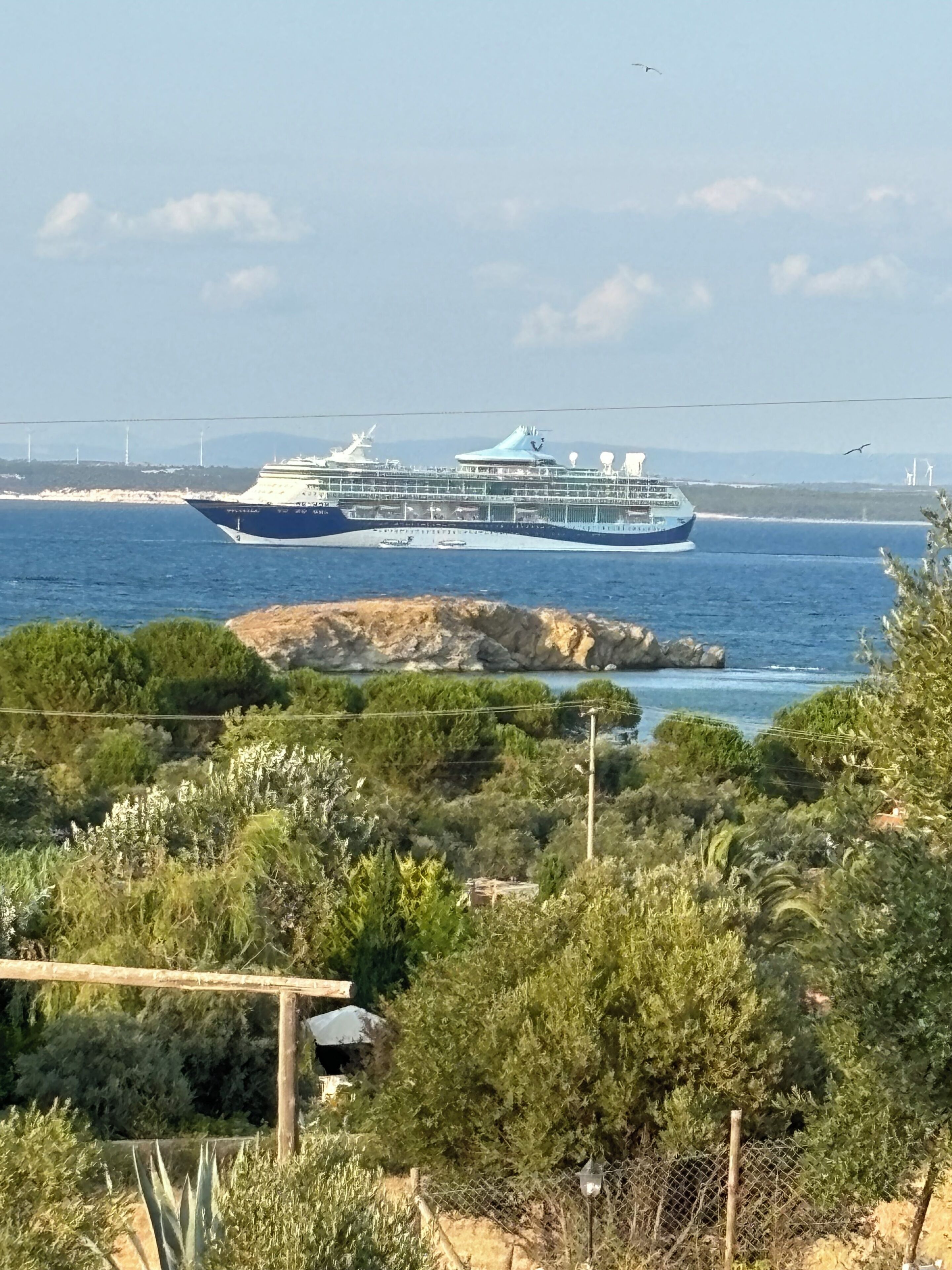 A cruise ship docked at a port with a rocky coastline and greenery in the foreground.