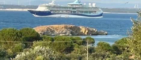 A cruise ship docked at a port with a rocky coastline and greenery in the foreground.