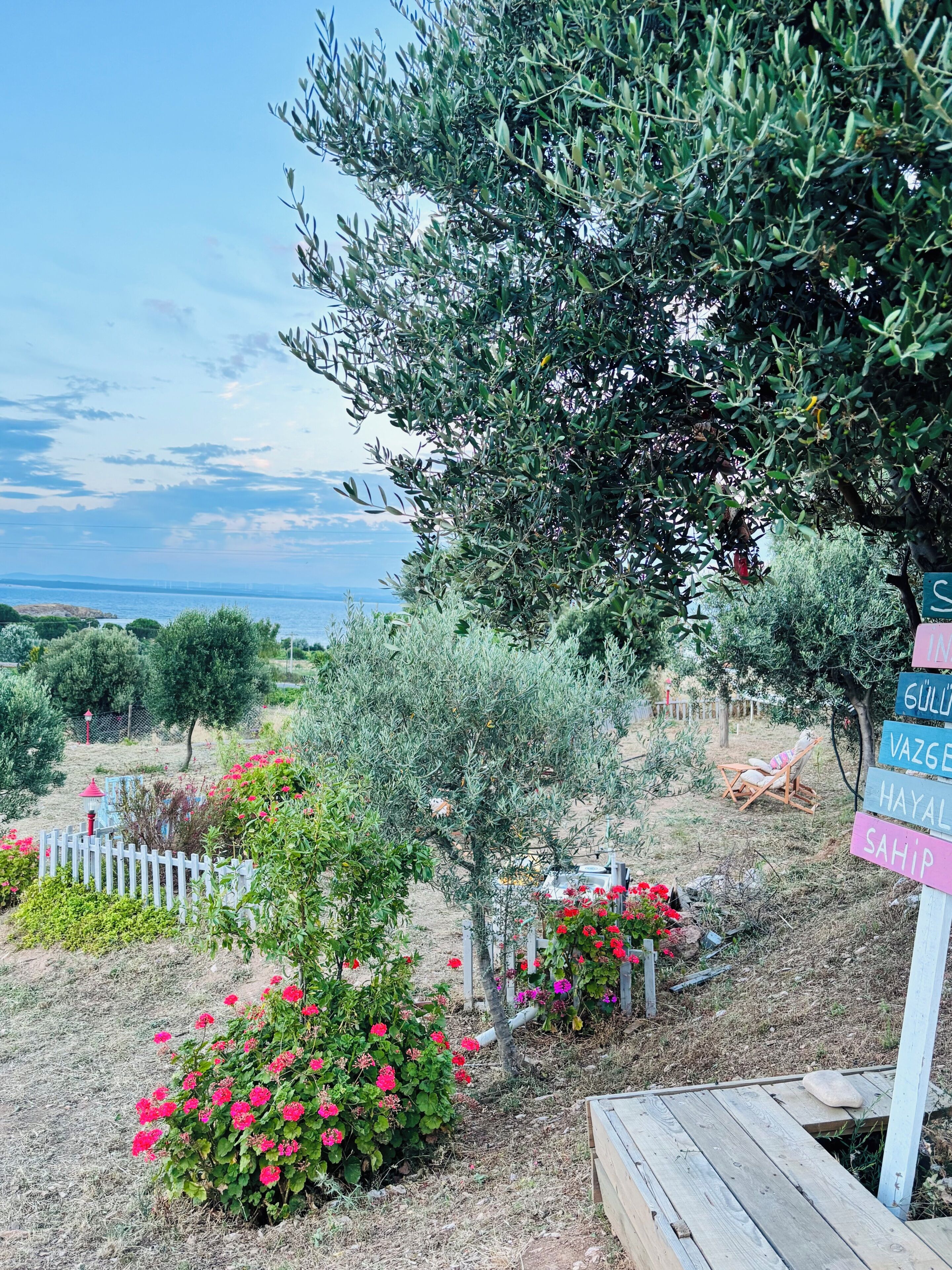 A garden with olive trees, a wooden deck, and a signpost with names.