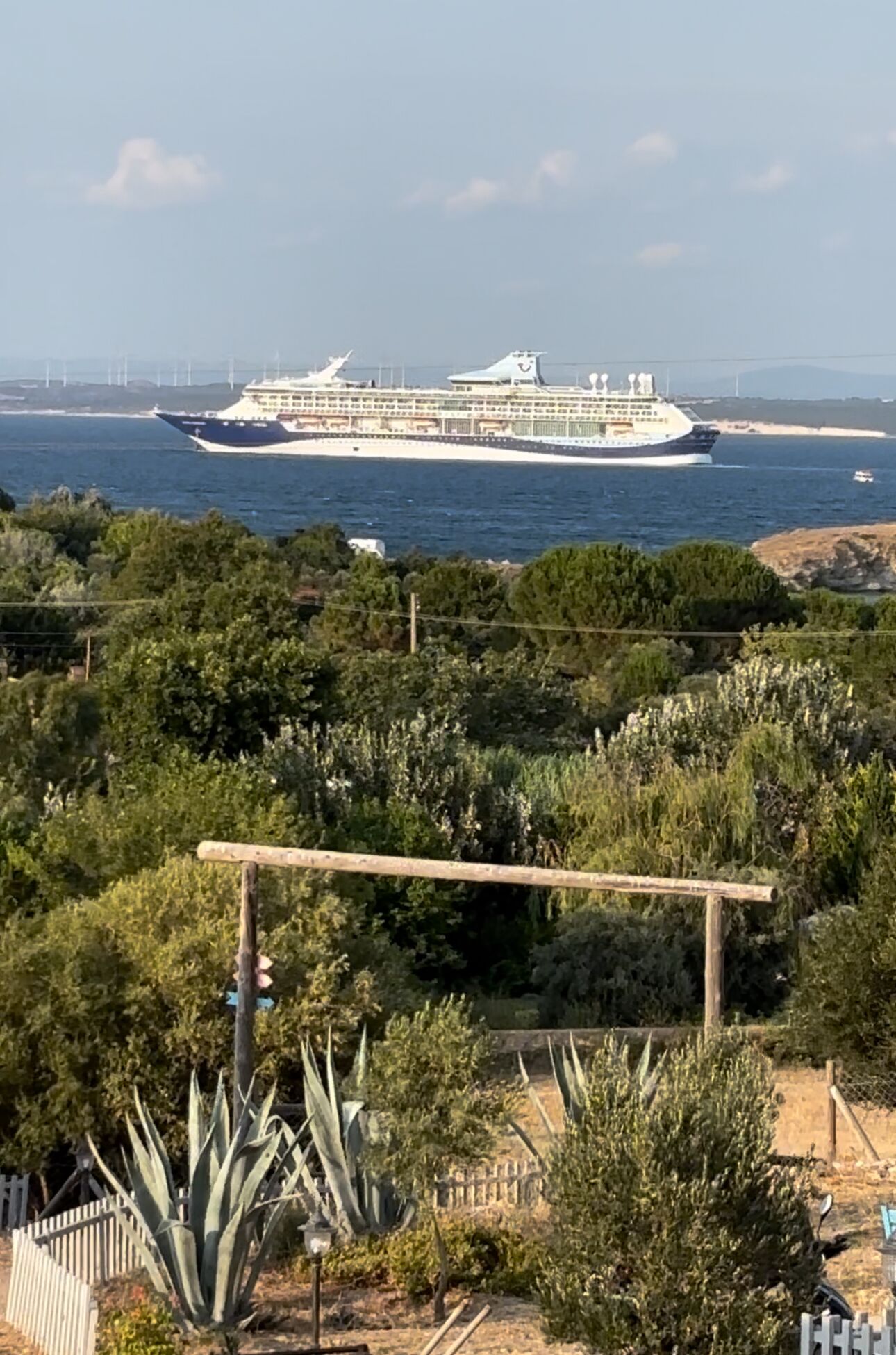 A large cruise ship docked at a port with a view of the sea and greenery in the foreground.