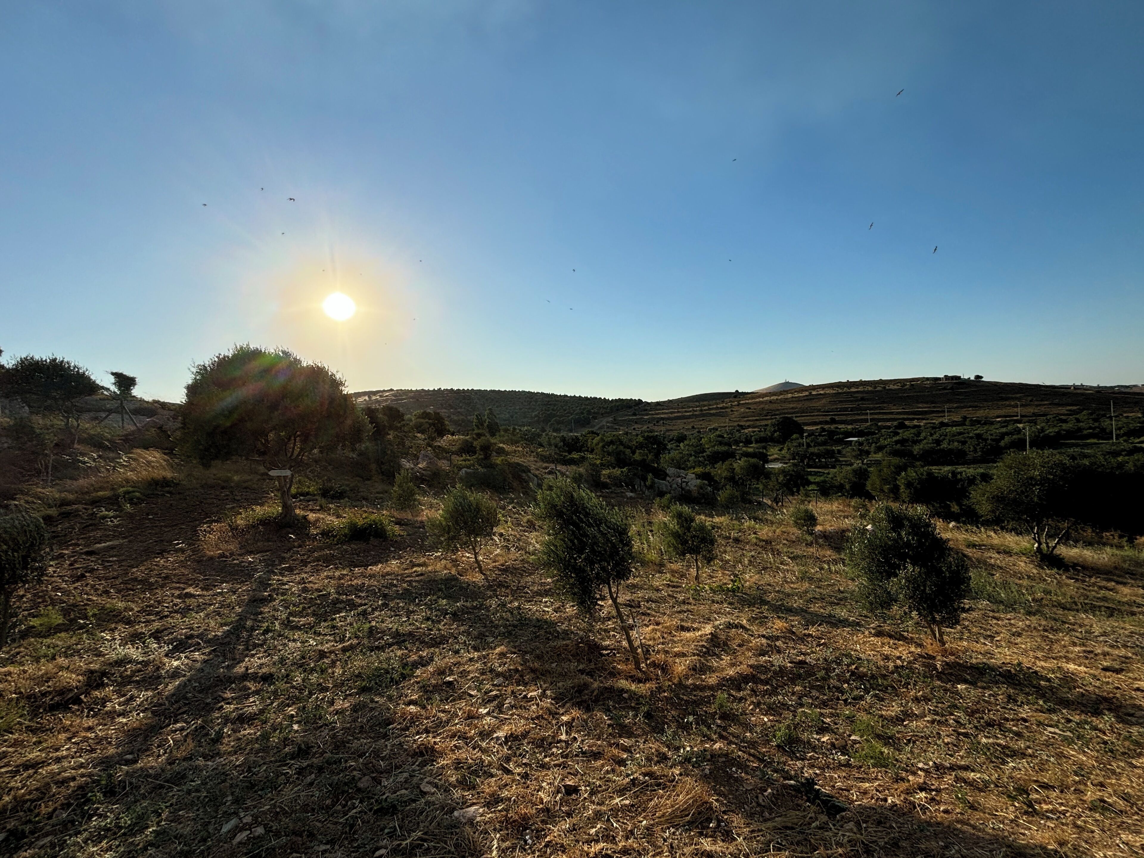 A dry, hilly landscape with sparse vegetation and a clear sky.