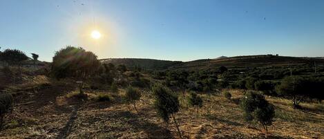 A dry, hilly landscape with sparse vegetation and a clear sky.