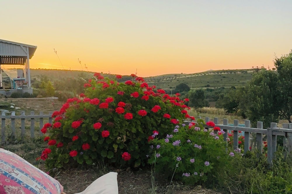 Zeus kır evi