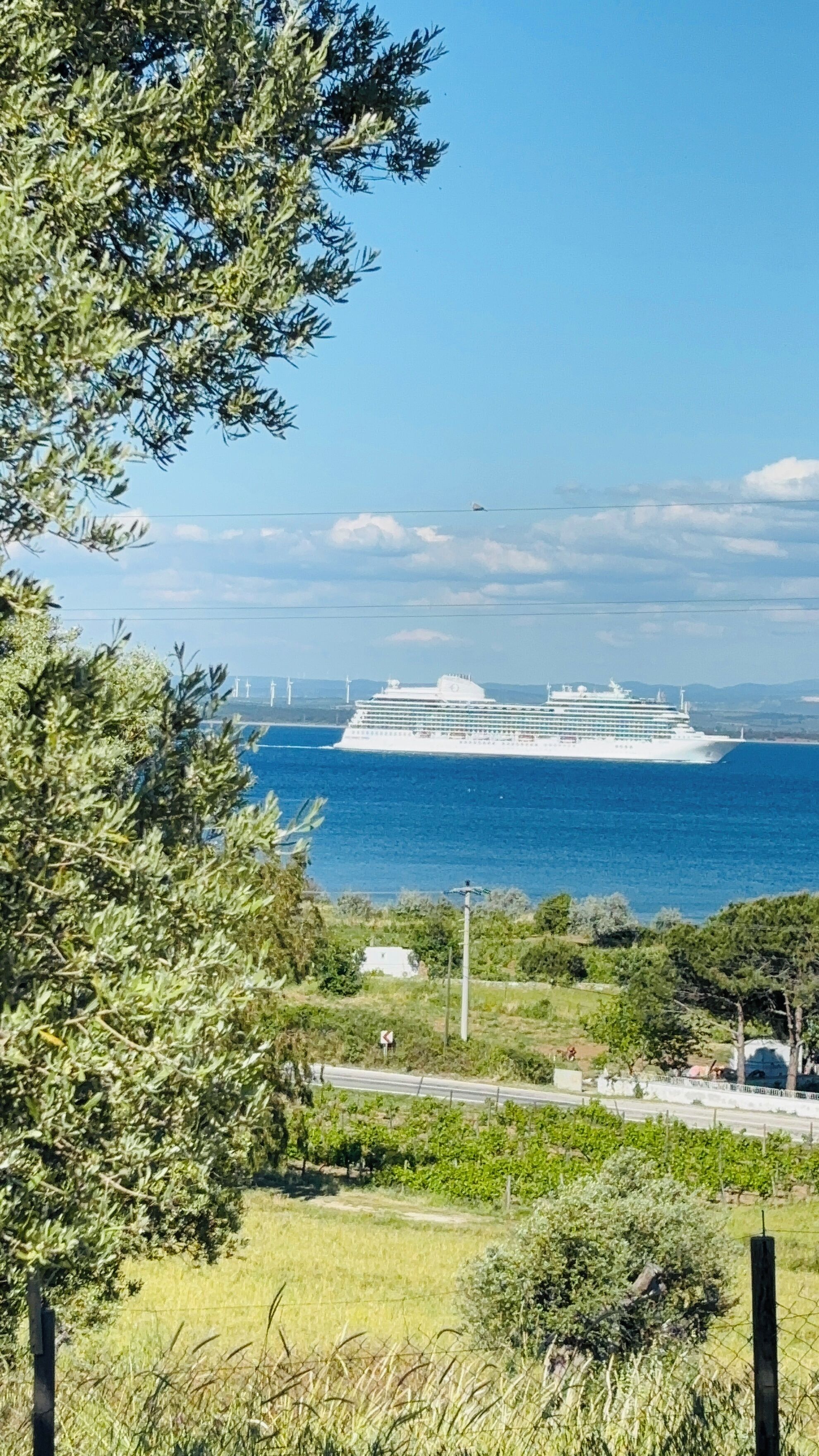 A large cruise ship on the ocean with a clear sky and some clouds.