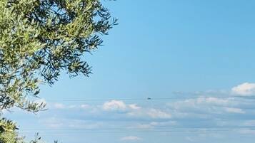 A large cruise ship on the ocean with a clear sky and some clouds.