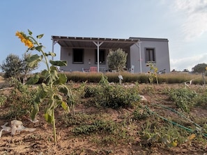 Exterior - Zeus kır evi (Bozcaada)