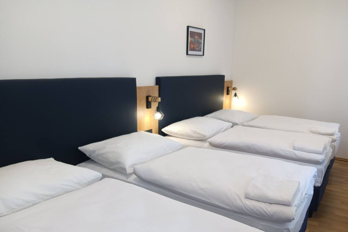 Suite 24 B