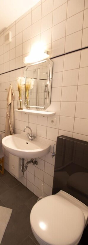 Shower, hair dryer