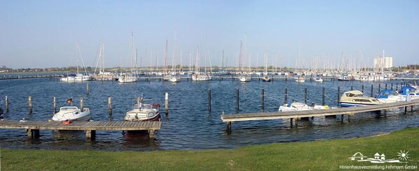Boats dock at the marina, surrounded by a grassy area and calm water.
