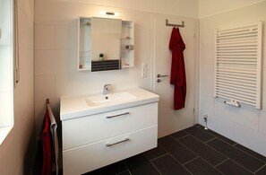 Shower, hair dryer