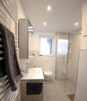 Shower, hair dryer