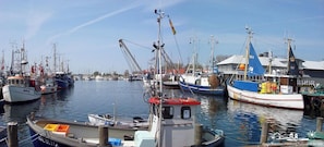 Marina/club náutico