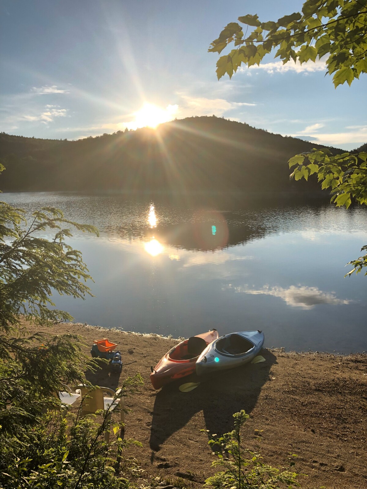 Imagen de perfil del propietario o de la propietaria