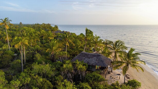A beach with palm trees and a hut. - Simply Saadani Camp (Mkwaja)