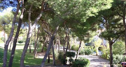 Appartement à la Mer