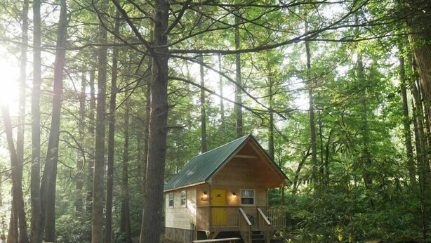 Eine Holzhütte im Wald mit einer Steinmauer und einem Picknicktisch.